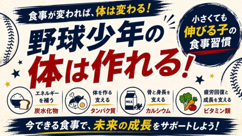 少年野球に必要な食事とは？体を大きくする量・メニュー・補食の基本 