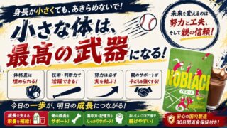 ノビエース