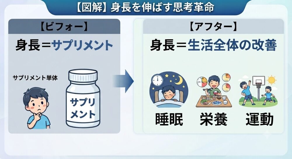比較図解
