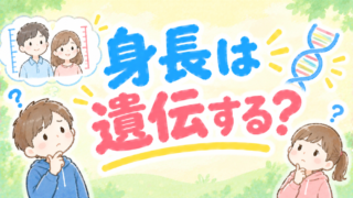 身長は遺伝で決まる？保護者が知っておきたい本当の話 